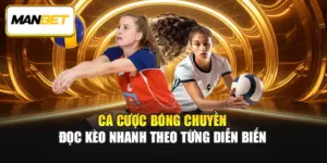 Cá Cược Bóng Chuyền - Đọc Kèo Nhanh Theo Từng Diễn Biến 