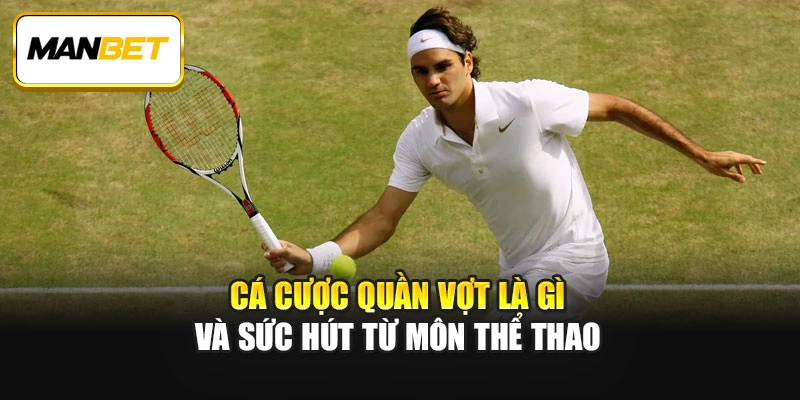 Cá cược quần vợt là gì và sức hút từ môn thể thao