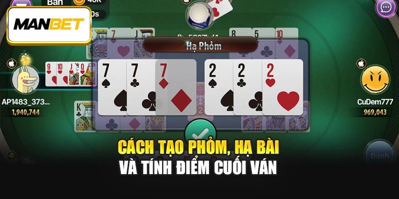 Cách tạo phỏm, hạ bài và tính điểm cuối ván