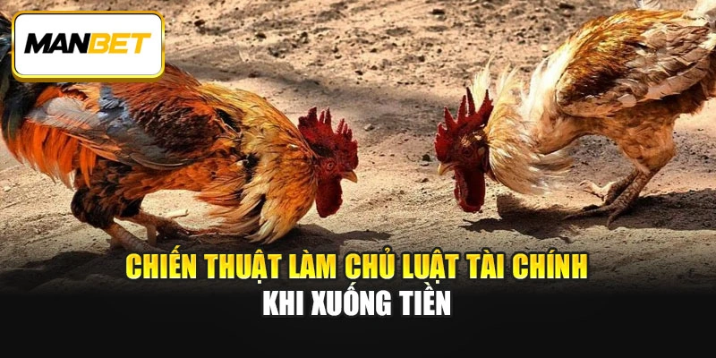 Chiến thuật làm chủ luật tài chính khi xuống tiền