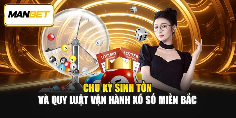 Chu kỳ sinh tồn và quy luật vận hành Xổ số miền Bắc