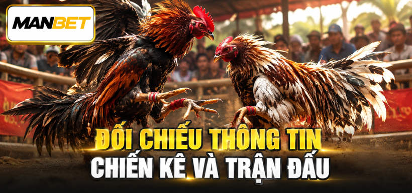 Đối chiếu thông tin chiến kê và trận đấu