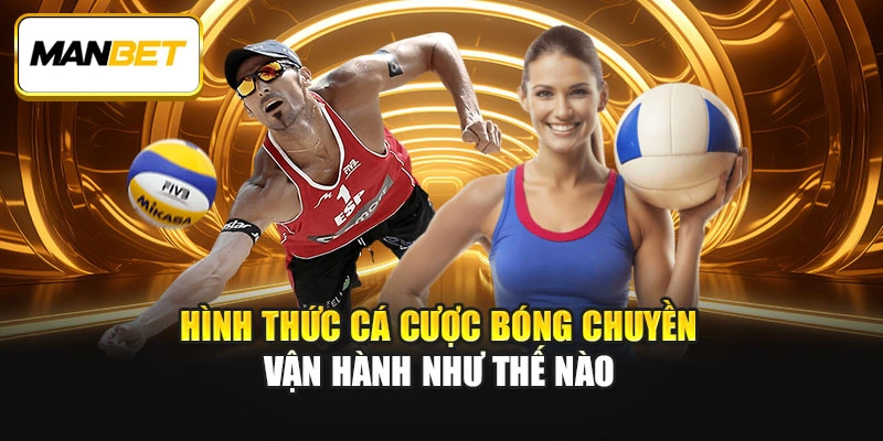 Hình thức cá cược bóng chuyền vận hành như thế nào