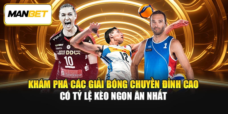 Khám phá các giải bóng chuyền đỉnh cao có tỷ lệ kèo ngon ăn nhất