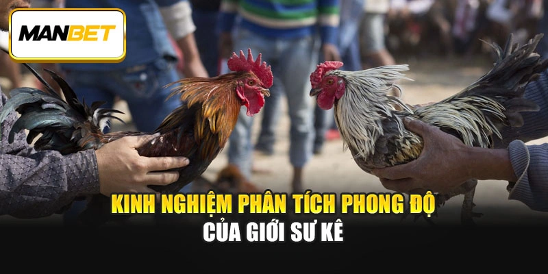 Kinh nghiệm phân tích phong độ của giới sư kê