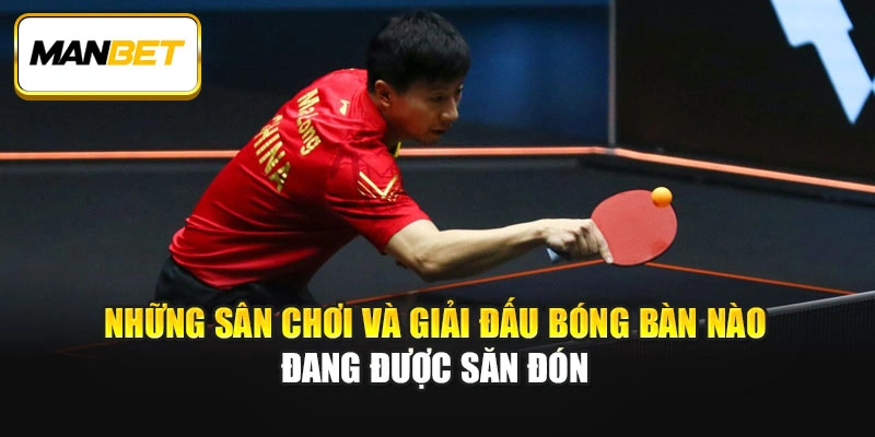Những sân chơi và giải đấu bóng bàn nào đang được săn đón