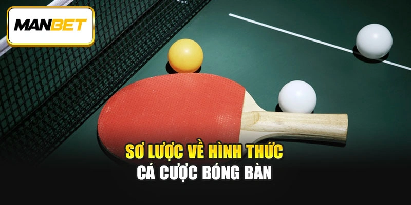 Sơ lược về hình thức cá cược bóng bàn